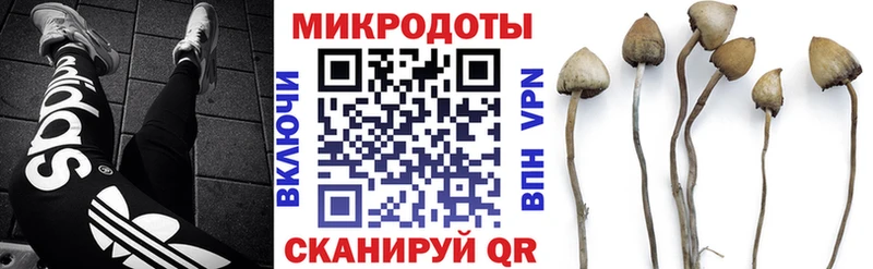 купить наркотик  Кострома  Галлюциногенные грибы Magic Shrooms 
